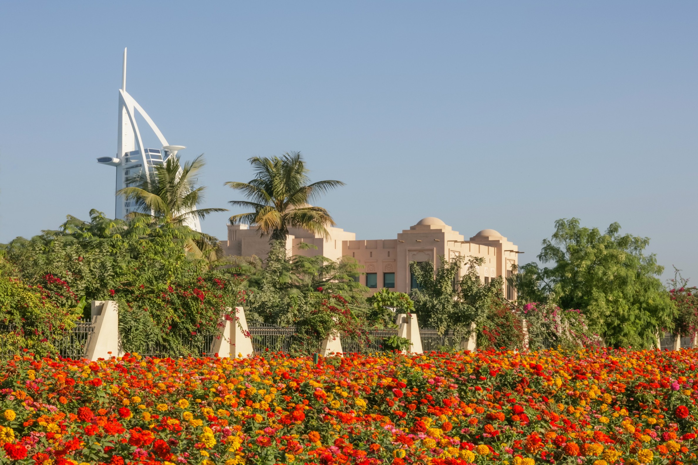 Dubai's green spaces